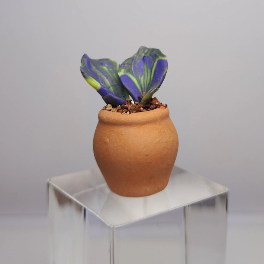 Handmade Miniature Polymer Clay Plant in Terracotta Pot – Green & Purple Decorative Succulent image 0