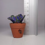Handmade Polymer Clay Miniature Plant in Terracotta Pot – Purple & Green Decorative Faux Plant image 2
