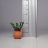 Handmade Miniature Polymer Clay Plant – Green Patterned Leaves in Terracotta Pot | Faux Succulent Décor image 2
