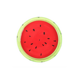Watermelon Incense Stick Holder