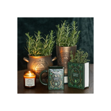 Green Witch Book Shaped Vase