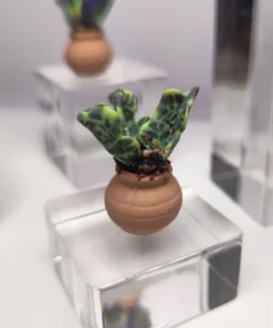 Handmade Miniature Polymer Clay Plant – Green Patterned Leaves in Terracotta Pot | Faux Succulent Décor