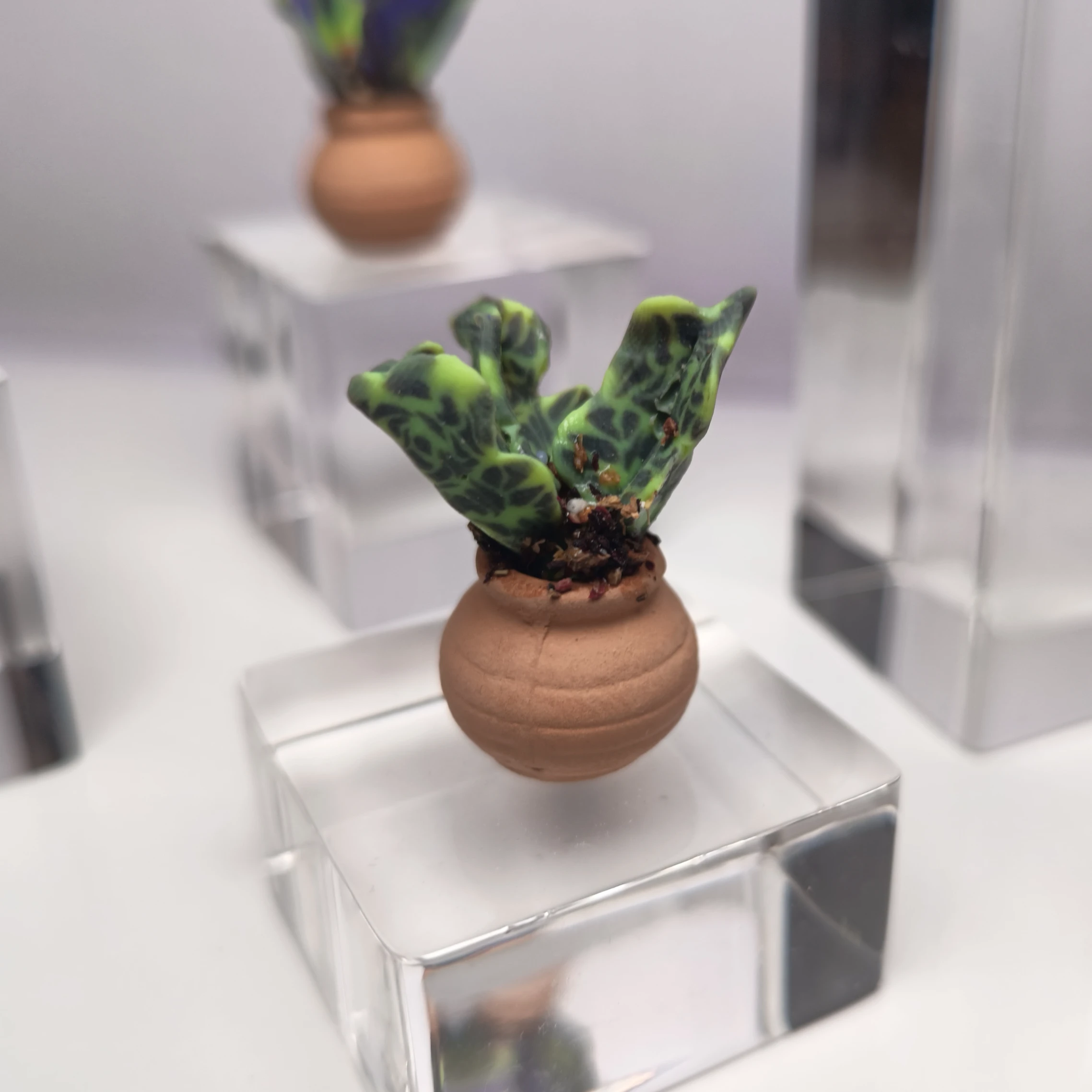 Handmade Miniature Polymer Clay Plant – Green Patterned Leaves in Terracotta Pot | Faux Succulent Décor